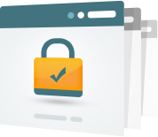 Organization validated SSL